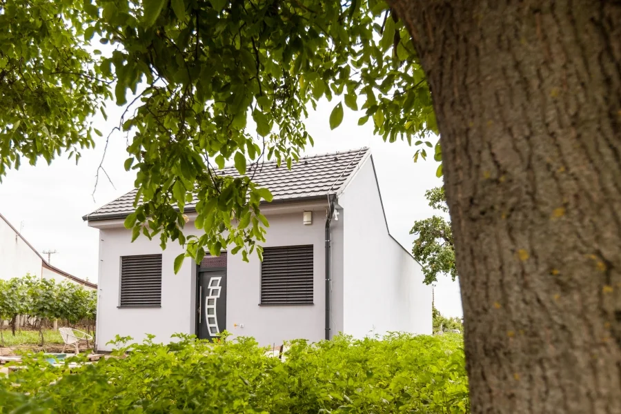 Exteriér – Rodinný dům Bořetice, pohled na dům zpoza stromu se zahradou a vinicí v okolí